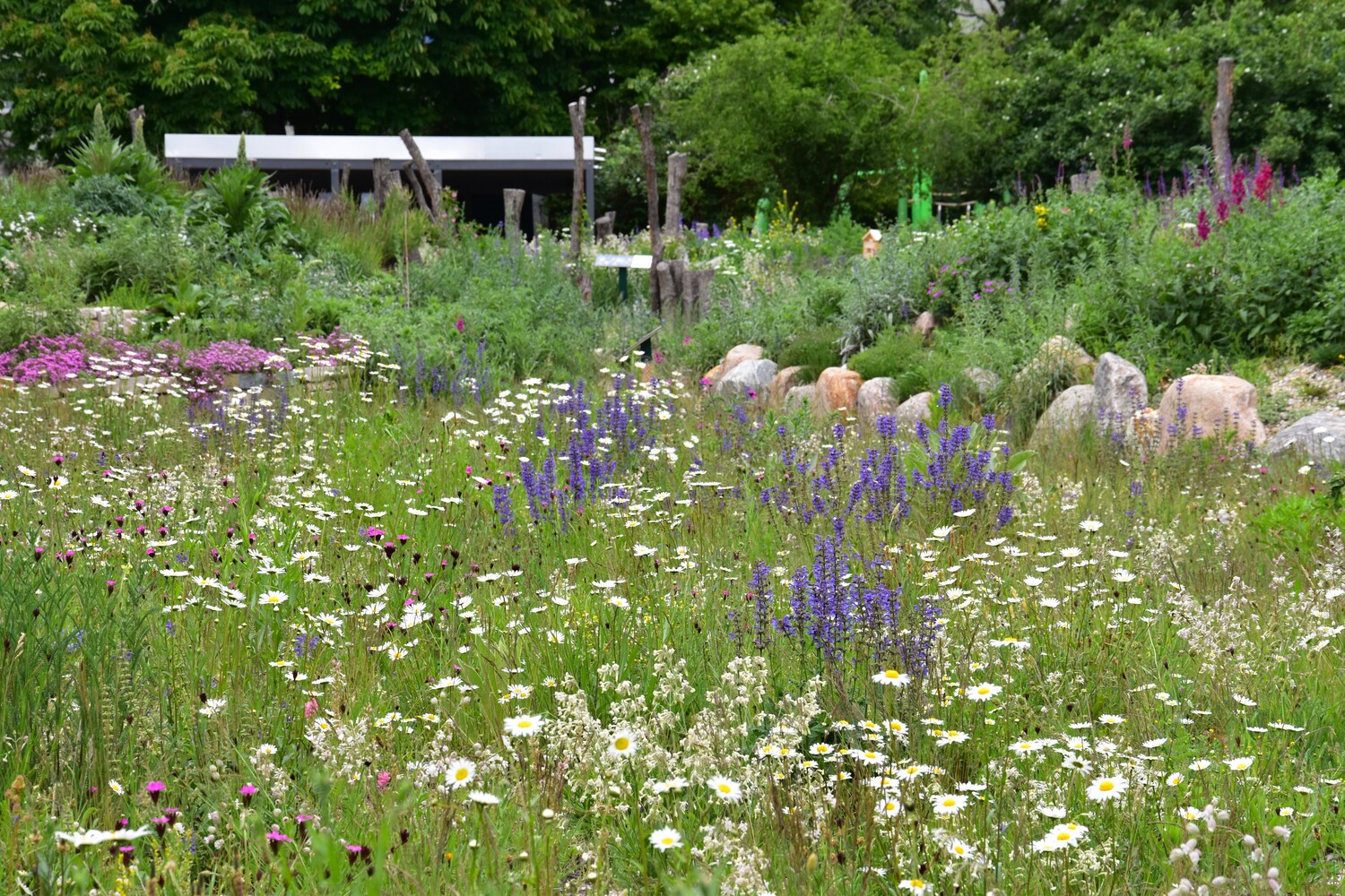 Einen Naturgarten selbst gestalten Warum? Deutschland summt!